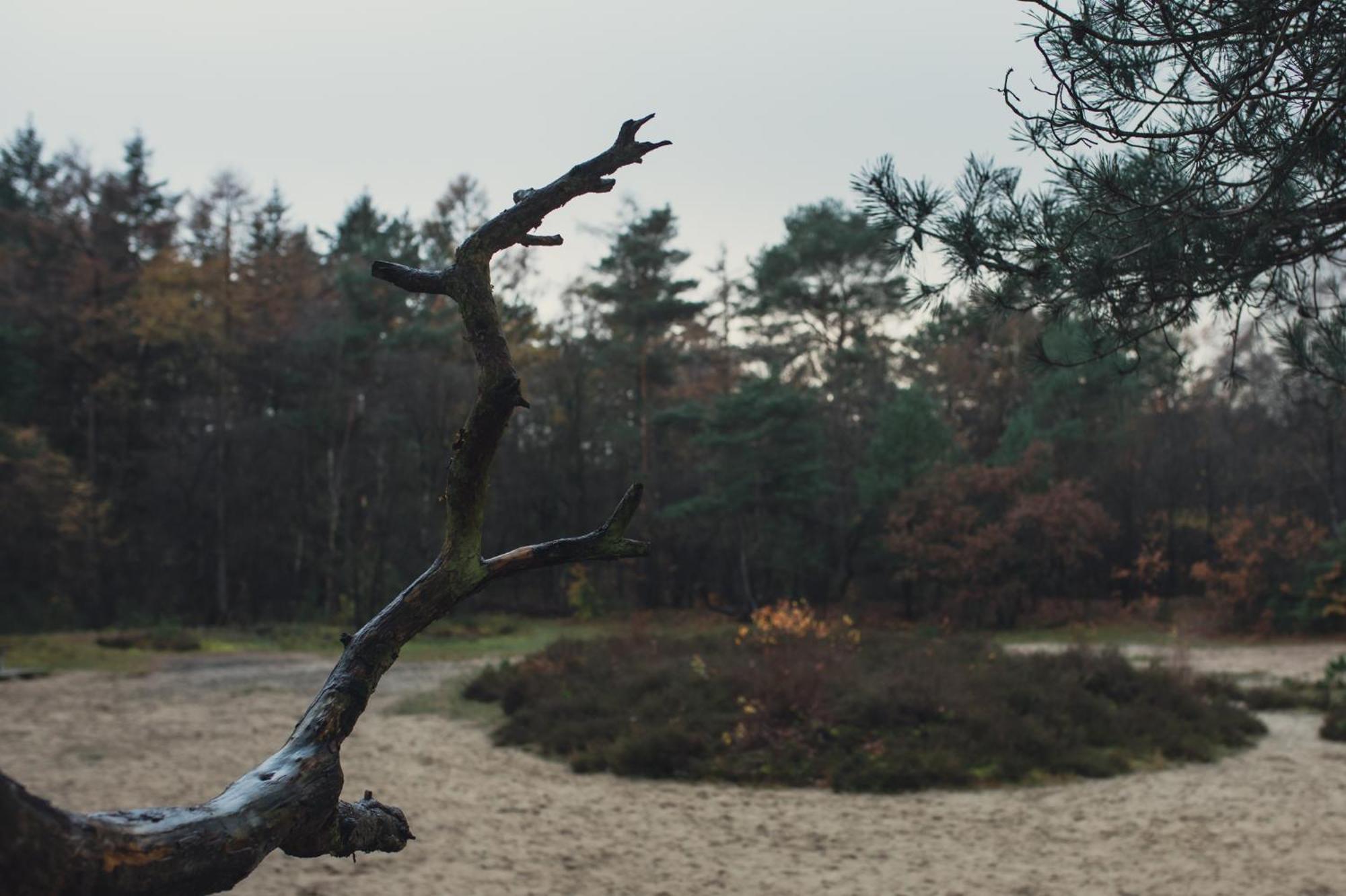 Drents Genieten - Kraaiheide Met Prive Jacuzzi Erm Eksteriør billede